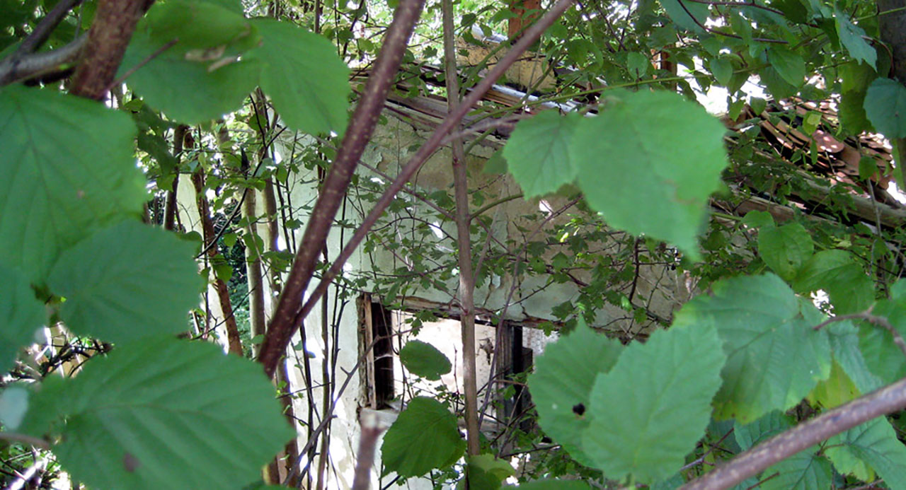 ABG Schwäbisch Gmünd – Rundgang 2008